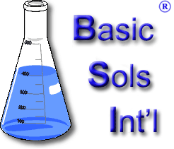 Basic Solutions Intl.
